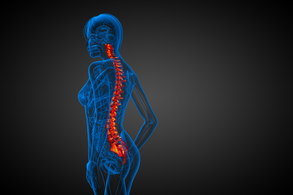 Vagus Nerve Connection